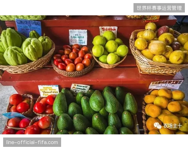 不同区域市场对世界杯IP的认知偏差导致品牌价值评估彻底失效